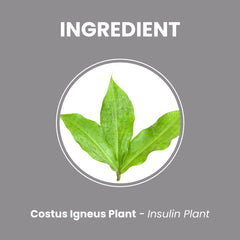 Costus Igneus Powder  -  100 % Natural & Farm Fresh